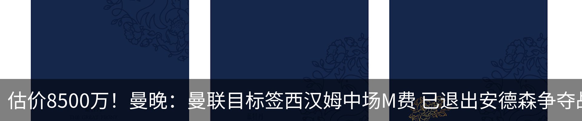 最新动态