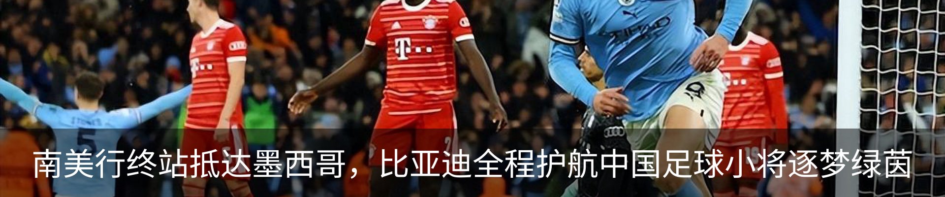 最新动态