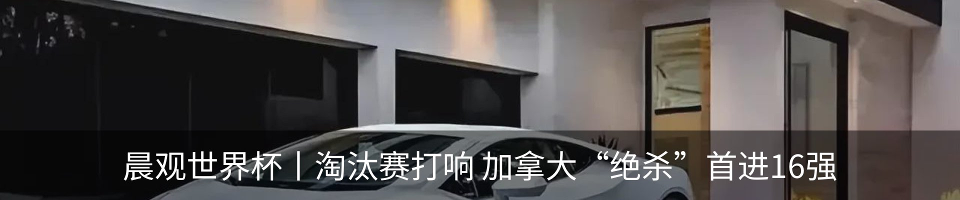 最新动态